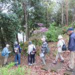 田原うぉ～く「里山散策」